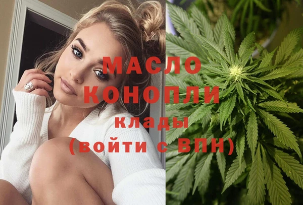 мдпв Дмитров