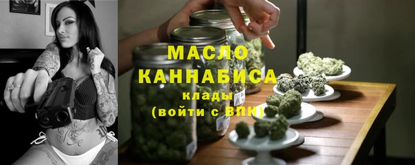 мдпв Дмитров