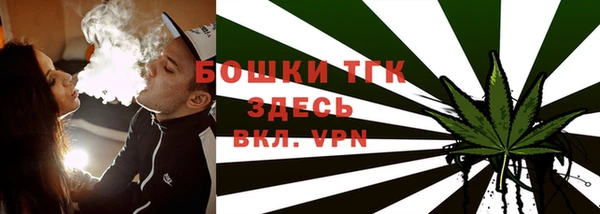 мдпв Дмитров