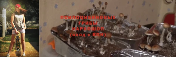 наркотики Дмитриев