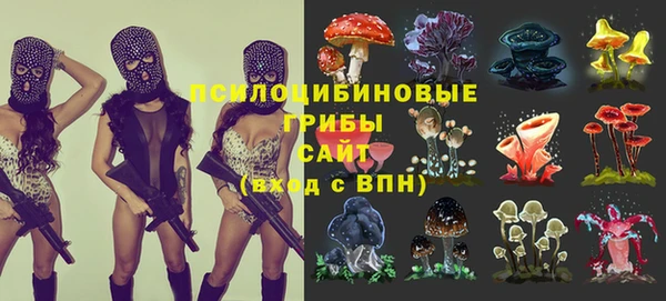 наркотики Дмитриев