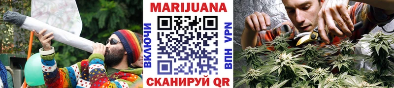 Купить где  Кириллов  Шишки марихуана Bruce Banner 